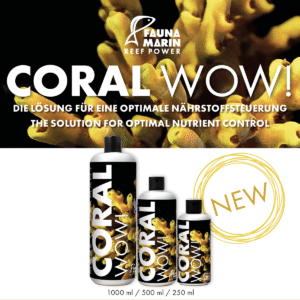 CORAL WOW!