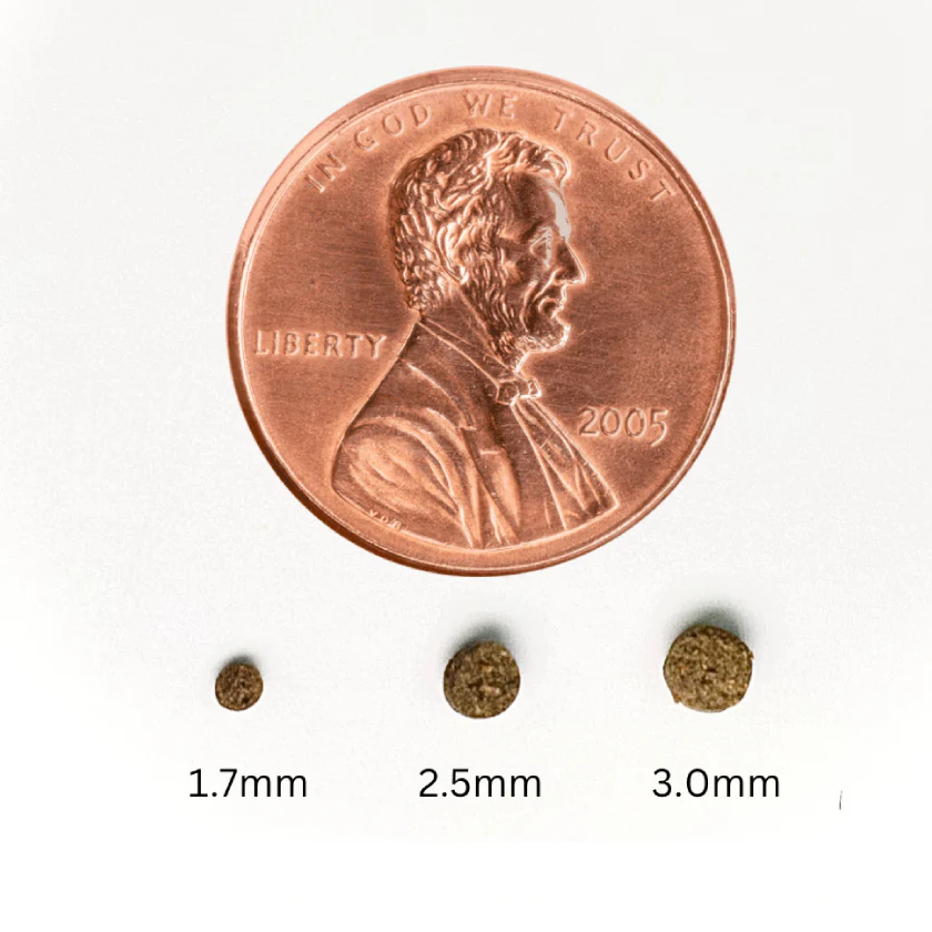 BenePellet Reef 1.7mm 38g - Image 3
