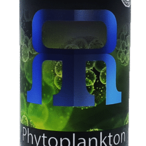Phytoplankton Nannochloropsis