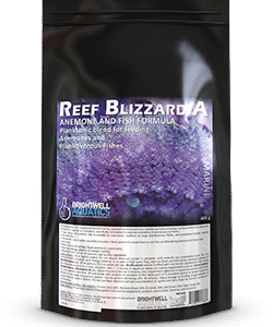 Reef Blizzard-A