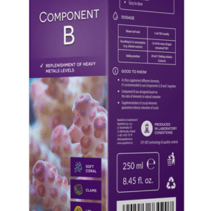 Component B