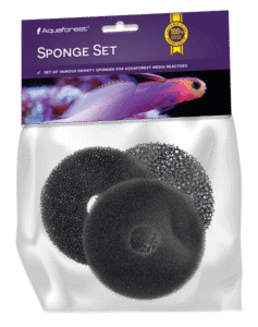 Seawater sponge set