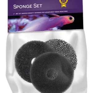 Seawater sponge set