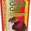 Hikari Cichlid Gold