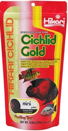 Hikari Cichlid Gold