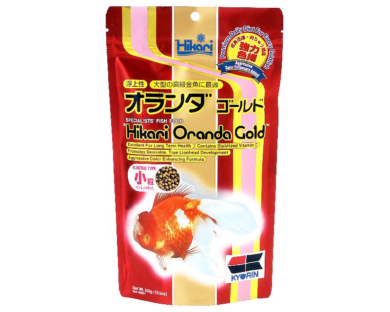 Hikari Oranda Gold