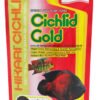 Hikari Cichlid Gold
