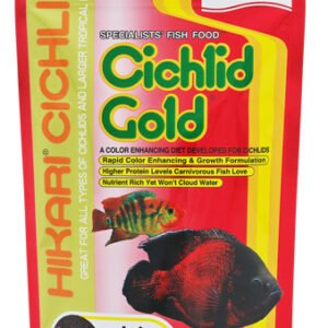 Hikari Cichlid Gold